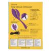 CalExotics Mini Marvels Marvelous Pleaser Finger Vibe - Image 5