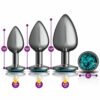Cheeky Charms Round Metal Butt Plug Gunmetal 3 Pc Kit Teal Jewel - Image 3