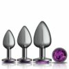 Cheeky Charms Round Metal Butt Plug Gunmetal 3 Pc Kit - Image 2