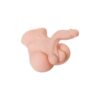 Anal and Balls Torso