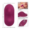CalExotics Dual Rider Remote Control Grinder - Image 3