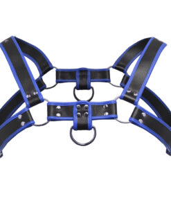 Bulldog Harness Blue