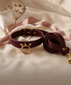 Chokers, Collars & Leashes