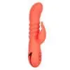 CalExotics California Dreaming: Orange County Cutie