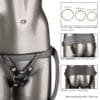 CalExotics Her Royal Harness: The Regal Princess - Pewter - Image 4