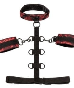CalExotics Scandal Collar Body Restraint Red