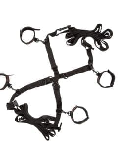CalExotics Scandal Over the Bed Cross Red