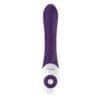 Nalone Rhythm Rabbit Vibrator - Image 5